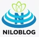 نقد و بررسی محتوای کتاب تاریخ پایه ی یازدهم (رشته ی علوم انسانی)درسهای دوم و سوم.